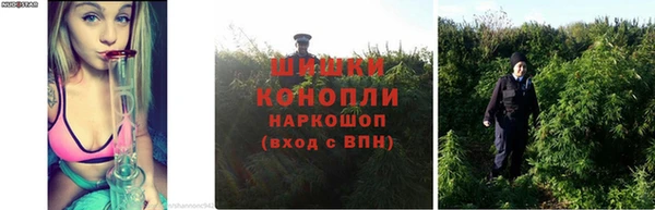 шишки Володарск